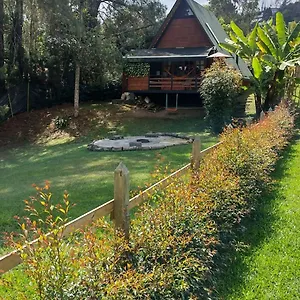 Eucalypto Guarne